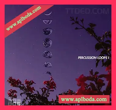 [嘻哈说唱打击乐采样]Onlyxne 808 Mafia Percussion Loops 001 [WAV]（108Mb）