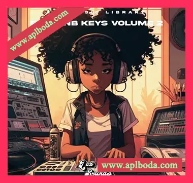 [灵魂嘻哈RnB采样]LEX Sounds Rap and RnB Keys Vol. 2 by AMV Music Library [WAV]（1.12Gb）