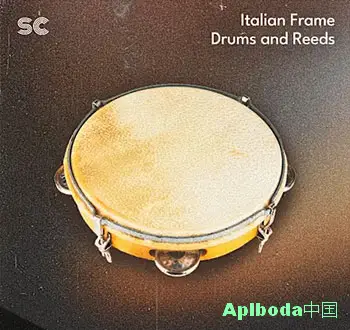 [框架鼓簧片乐器采样]Sonic Collective Italian Frame Drums And Reeds [WAV]（660.84Mb）
