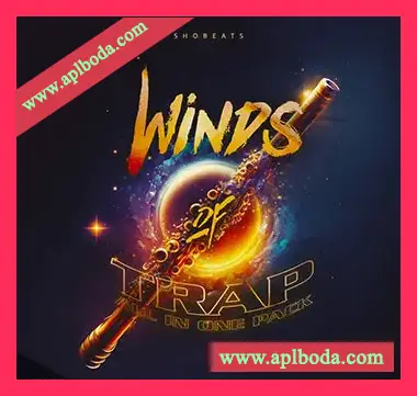 [Trap陷阱素材]Shobeats Winds Of Trap [WAV, MiDi]（647.82Mb）