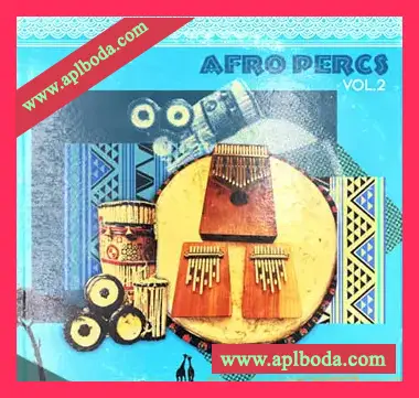 [非洲节奏打击乐采样]RARE Percussion Afro Percs vol.2 [WAV]（219Mb）