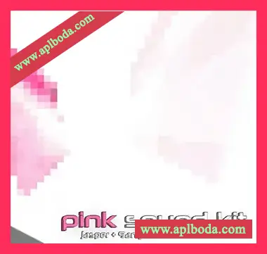 [流行陷阱采样预置]9anyal Pink Sound Kit [WAV]（489Mb）