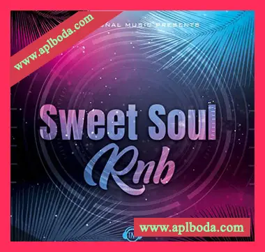 [灵魂RnB采样]Big Citi Loops Sweet Soul RnB [WAV]（83Mb）