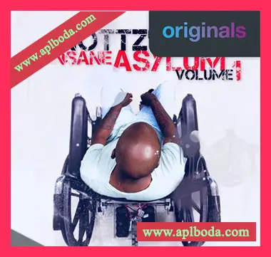 [嘻哈说唱采样]Nottz’s Insane Asylum Volume 1 [WAV]（75Mb）