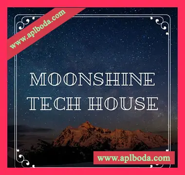 [科技浩室采样]Beatrising Moonshine Tech House [WAV]（96Mb）