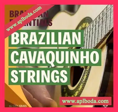 [巴西民族弦乐采样]Gio Israel Brazilian Cavaquinho Strings [WAV]（449Mb）