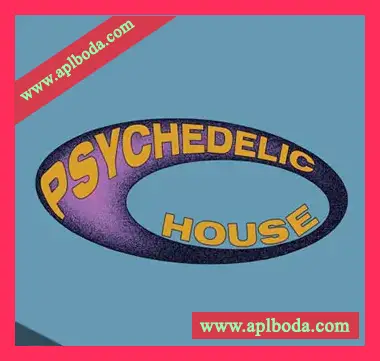 [浩室素材]UNDRGRND SOUNDS Psychedelic House [WAV, MiDi]（385Mb）