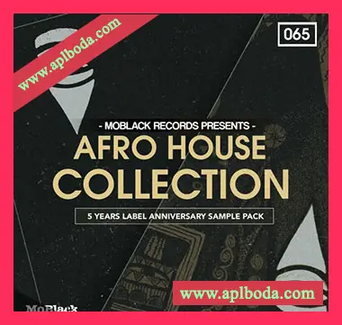 [AfroHouse采样]Bingoshakerz MoBlack Records Afro House Collection 2 [WAV, REX]（413Mb）
