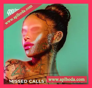 [灵魂RnB人声采样]91Vocals Missed Calls Midnight Soul [WAV]（460Mb）