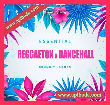 [拉丁雷击顿采样]Smemo Sounds ESSENTIAL REGGAETON x DANCEHALL [WAV]（37Mb）