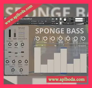 [低音贝司音源]Sound Dust Sponge Bass [KONTAKT]（552Mb）