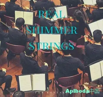 [混响弦乐音源]PastToFutureReverbs Real Shimmer Strings For Kontakt! [KONTAKT]（403Mb）