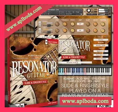 [民族指弹吉他素材]In Session Audio Resonator Guitar [多格式]（3.54Gb）