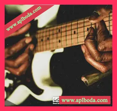 [灵魂乐采样]Soul Surplus Old Soul [WAV]（250Mb）