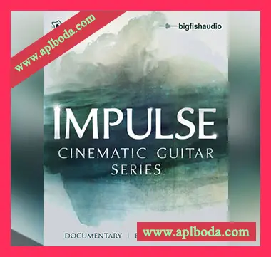 [影视乐预告片素材音源]Big Fish Audio Impulse [KONTAKT多格式]（4.49Gb）
