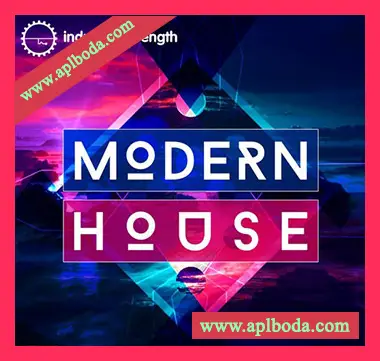 [现代浩室采样]Industrial Strength Modern House [WAV]（282Mb）