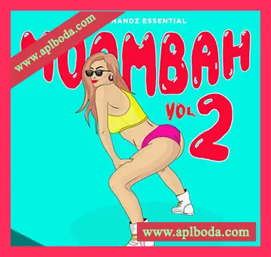 [Moombahton素材]Retrohandz Essential Moombah Vol.2 [WAV, MiDi]（475Mb）