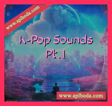 [POP流行乐电子舞曲采样]HOOKSHOW K-Pop Sounds Pt.1 [WAV]（22Mb）
