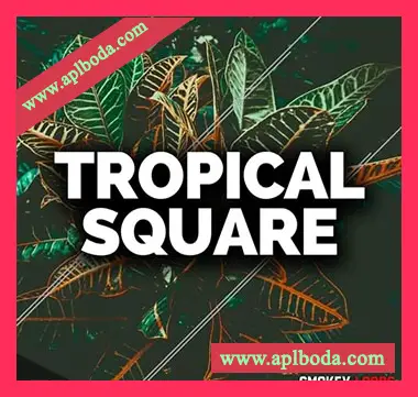 [Tropical House清新舞曲素材]Smokey Loops Tropical Square [WAV, MiDi]（821Mb）