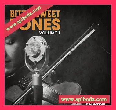[氛围小提琴采样]New Beard Media Bittersweet Tones Vol.1 [WAV]（24Mb）