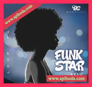 [灵魂放克RnB采样]Big Citi Loops Funk Star Keys 1 [WAV]（397Mb）