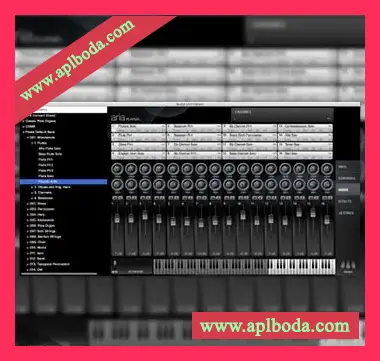 Garritan ARIA Player v1.872 [WiN, MacOSX]（78Mb）