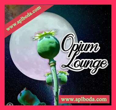[氛围放克采样]Soundtrack Loops Opium Lounge [WAV]（53Mb）
