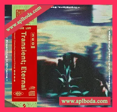 [流行乐采样]Noise Honey Transient Eternal [WAV]（605Mb）