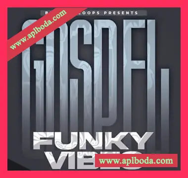 [RnB放克福音乐采样]Big Citi Loops Gospel Funky Vibes Vol.1 [WAV]（37Mb）