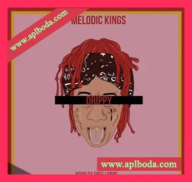 [嘻哈说唱Trap采样]Melodic Kings Drippy [WAV]（16Mb）
