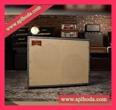 [Impulse Response库]Tone Factor Benson F30 2×12 Xr Ir Pack（16Mb）