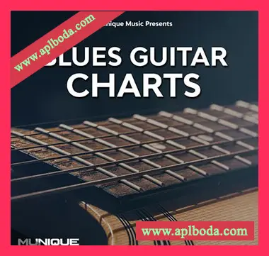 [爵士布鲁斯吉他采样]Munique Music Blues Guitar Charts [WAV]（48Mb）