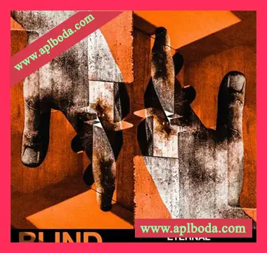 [泰克诺舞曲采样]Blind Audio Eternal Driving Techno [WAV]（236Mb）