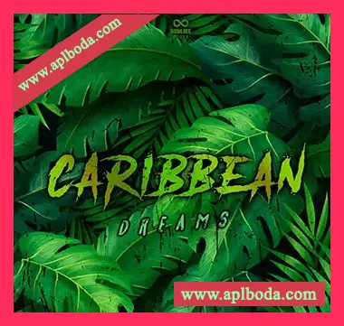 [非洲节奏素材]Godlike Loops Caribbean Dreams [WAV, MiDi]（169Mb）