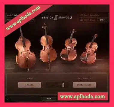 [小型弦乐合奏音源]Native Instruments Session Strings 2 v1.0.2 [KONTAKT]（10.5Gb）
