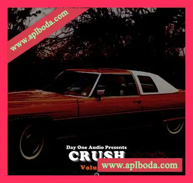 [RnB采样]Day One Audio Crush Vol. 2 [WAV]（202Mb）