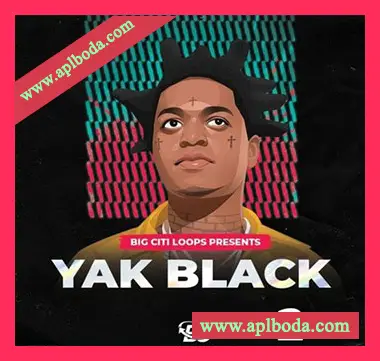 [嘻哈陷阱采样]Big Citi Loops Yak Black 2 [WAV]（41Mb）
