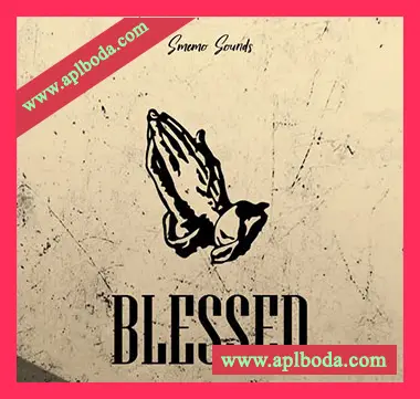 [灵魂嘻哈RnB采样]Smemo Sounds Blessed [WAV]（100Mb）