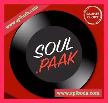 [灵魂嘻哈RnB采样]Samples Choice Soul Paak [WAV]（600Mb）