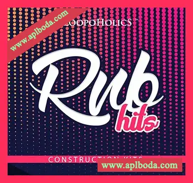 [RnB素材]Loopoholics RnB Hits Construction Kits [WAV, MiDi]（230Mb）