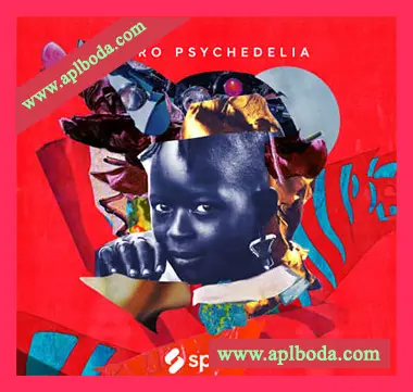 [Retro怀旧乐采样]Splice Sound Sessions Afro Psychedelia [WAV]（454Mb）
