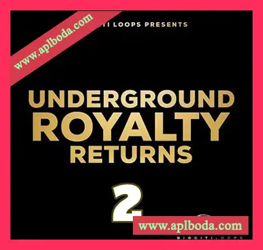 [嘻哈RnB采样]Big Citi Loops Underground Royalty Returns 2 [WAV]（63Mb）