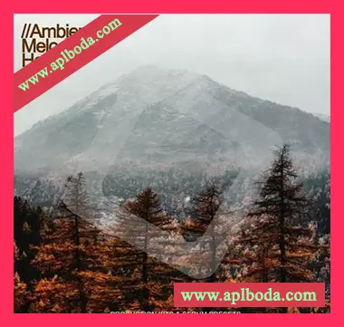 [氛围浩室素材Serum预置]Samplestar Ambient Melodic House [WAV, MiDi]（365Mb）