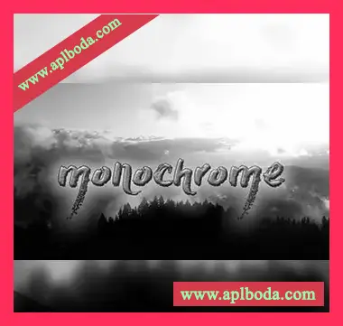 [氛围驰放鼓组采样FL工程模板]ARMAAN Monochrome Drumkit（309Mb）