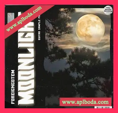 [氛围摇滚吉他采样]ForeignGotEm Moonlight (Guitar Kit) [WAV]（63Mb）