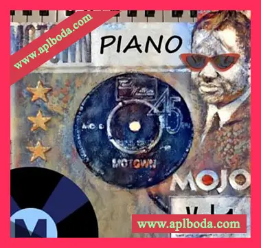 [复古钢琴音源]PastToFutureReverbs Motown Piano Vol.1! [KONTAKT]（206Mb）