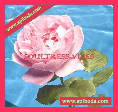 PreSonus Studio One Patcher [WiN]（5Mb）