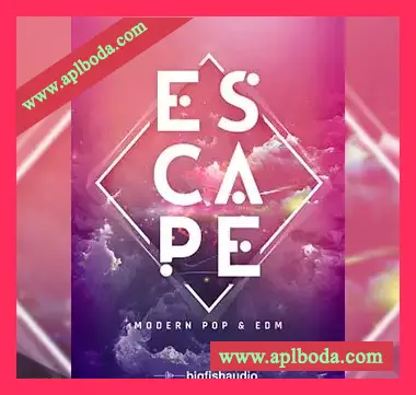 [现代流行电子舞曲构筑包素材]Big Fish Audio Escape Modern Pop and EDM [KONTAKT多格式]（7.37Gb）