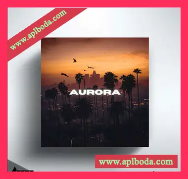 [嘻哈说唱素材]BenzMuzik Aurora [WAV, MiDi]（785Mb）