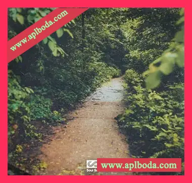 [灵魂嘻哈采样]Soul Surplus Oak Lane [WAV]（240Mb）